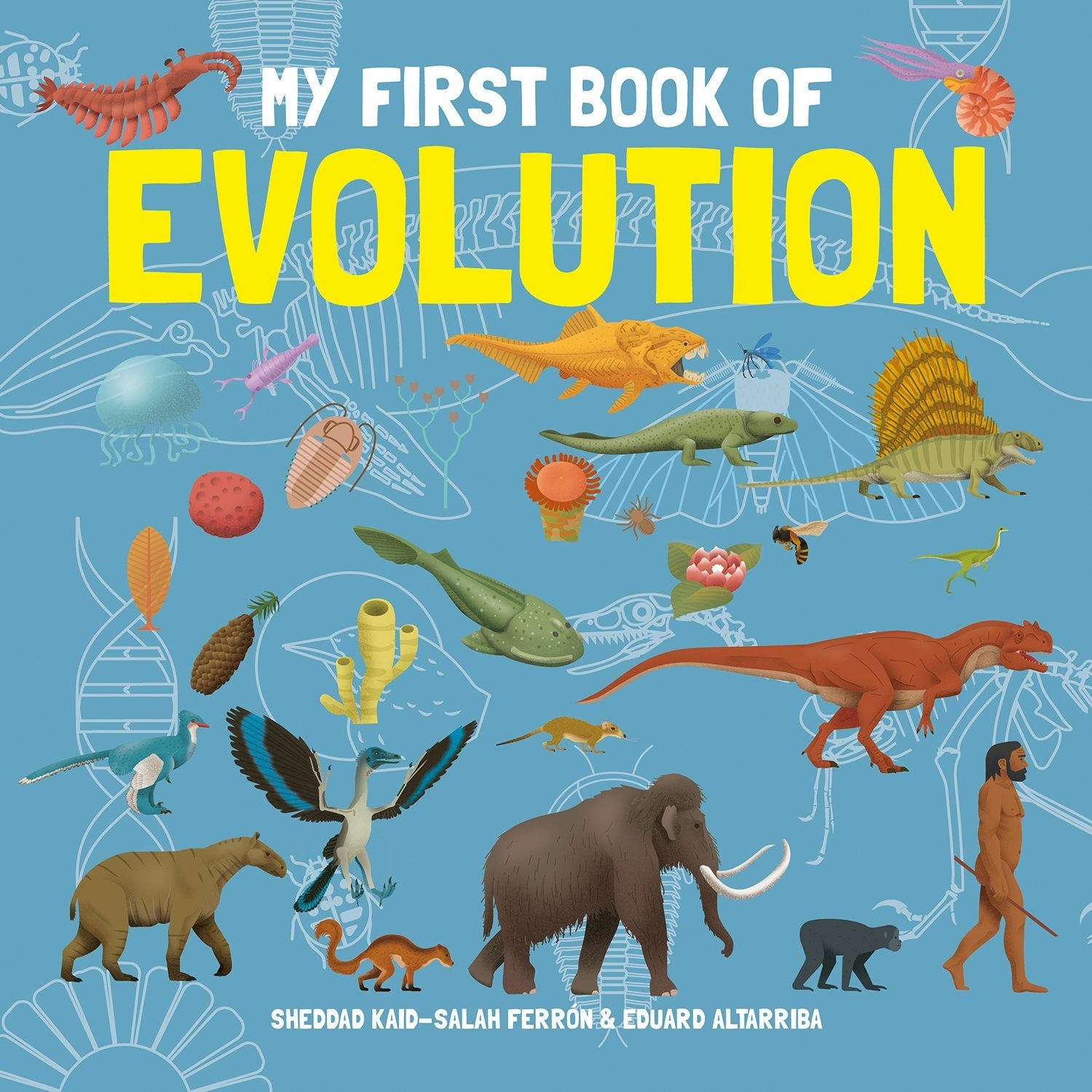 Book cover image for My First Book of Evolution ISBN: 9781787081307